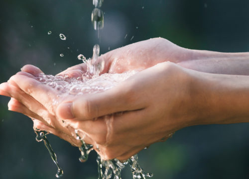 Woman's hands collecting water from the Fountain of Youth